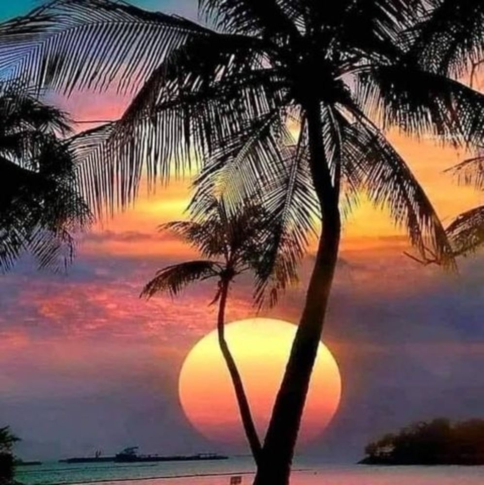 Meet your Posher, Katrena